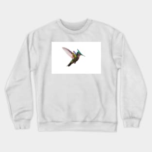 Antillean crested hummingbird Crewneck Sweatshirt